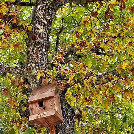 Villa Le Moulin D'hourtoy *