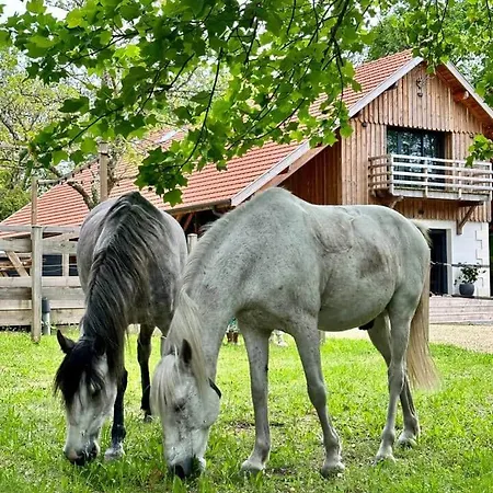 Le Moulin D'hourtoy *